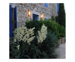 Vente maison 310 m² Montelimar (26200)