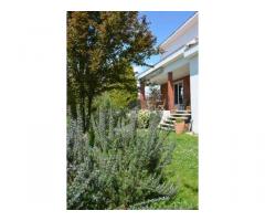 Vente maison 185 m² Escalquens (31750)