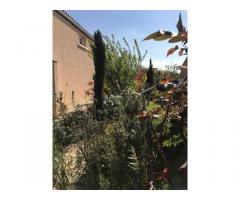 Vente maison 120 m² Muret (31600)