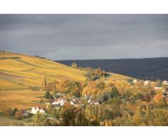 Vente maison 220 m² Blesmes (02400)