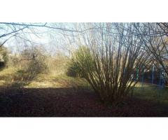 Vente maison 150 m² Troesnes (02460)