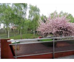 Vente studio 36 m² Valenciennes (59300)