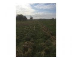 Vente terrain 1.519 m² Campagne Marchiennes (59179)