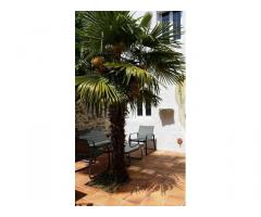 Vente maison 65 m² Fraisse-Cabardes (11600)