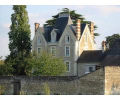 Vente maison 333 m² L'ile-Bouchard (37220)