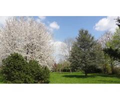 Vente maison 150 m² Saint-Aout (36120)