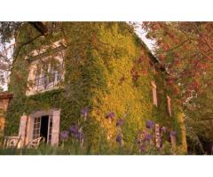 Vente maison 780 m² La Courtete (11240)