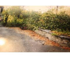 Vente terrain 2.380 m² Nimes (30)