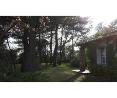 Vente maison 270 m² Ales (30100)