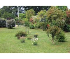 Vente maison 178 m² Leon (40550)