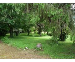 Vente maison 215 m² Chourgnac (24640)