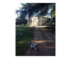 Vente maison 330 m² 7 Km Bergerac