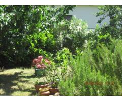 Vente maison 84 m² Tournefeuille (31170)