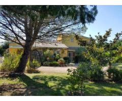 Vente maison 800 m² Balma (31130)