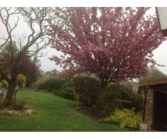 Vente maison 235 m² Goussancourt (02130)