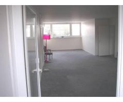 Vente appartement 4 pièces 98 m² Croix (59170)