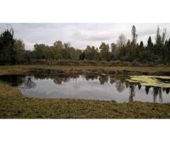 Vente terrain 3.720 m² Fontaine-Sur-Somme (80510)