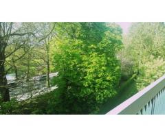 Vente appartement 4 pièces 78 m² Croix (59170)