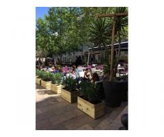 Vente appartement 4 pièces 74 m² Lorient (56100)