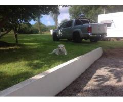 Vente chalet, mobil-home Camaret-Sur-Mer (29570)