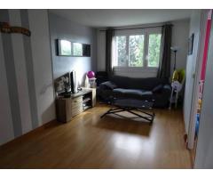 Vente appartement 3 pièces 50 m² Antony (92160)