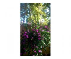 Vente appartement 3 pièces 63 m² Marseille 10E