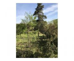 Vente appartement 3 pièces 64 m² Marseille 7E