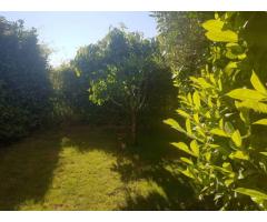 Vente appartement 4 pièces 83 m² Marseille 12E