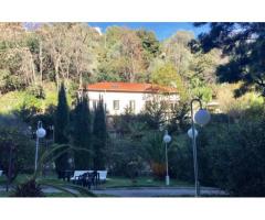 Vente maison 330 m² Nice