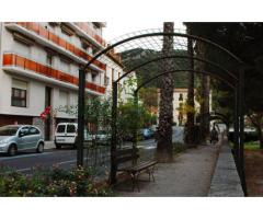 Vente studio 30 m² Amelie-Les-Bains-Palalda (66110)