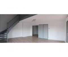 Vente appartement 4 pièces 110 m² Quint-Fonsegrives (31130)