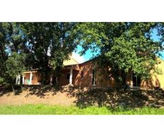 Vente maison 165 m² Castries (34160)