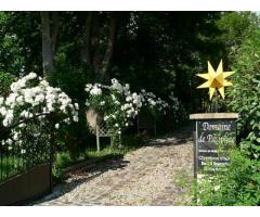 Vente maison 390 m² Vimoutiers (61120)