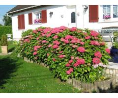 Vente maison 110 m² Saint-Victor-De-Chretienville (2