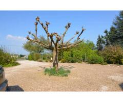 Vente maison 150 m² Beuzeville (27210)