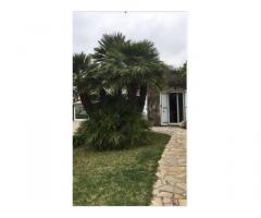 Vente maison 156 m² Antibes (06)