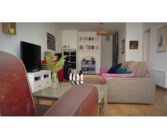 Vente appartement 4 pièces 90 m² Antony (92160)