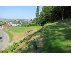 Vente terrain 1.000 m² Saint-Broladre (35120)