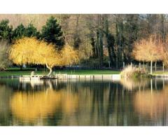 Vente maison 120 m² Le Mage (61290)