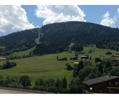 Vente appartement 2 pièces 25 m² Praz-Sur-Arly (74120)