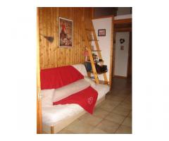Vente studio 19 m² Praz-Sur-Arly (74120)