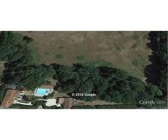 Vente maison 240 m² Montrond-Les-Bains (42210)