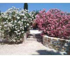 Vente maison 190 m² Buisson (84110)