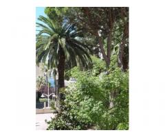 Vente appartement 4 pièces 103 m² Saint-Raphael (83)