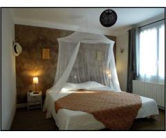 Vente maison 299 m² Villeneuve-Les-Avignon (30400)