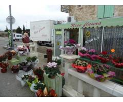Vente fonds de commerce Mobilier, Décoration, Cadeaux, Fleurs, Loisirs Sorgues