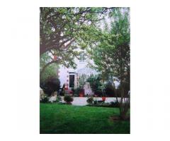 Vente maison Vierzon (18100)