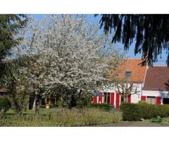 Vente maison 185 m² Selles-Sur-Cher (41130)
