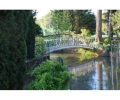 Vente maison 550 m² Francueil (37150)