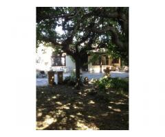 Vente maison 120 m² Arles (13)